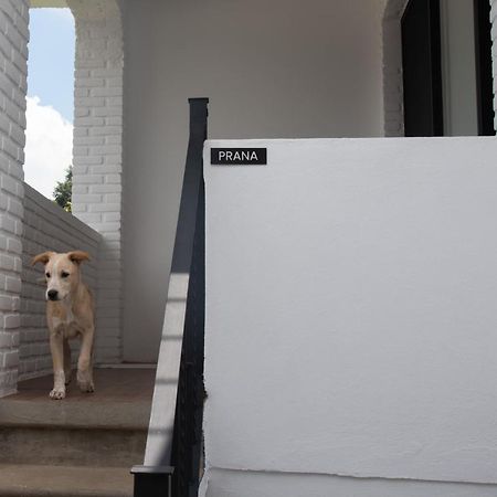 Casa Naamja Hotel Tepoztlan Bagian luar foto